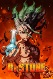 Dr. Stone Science Future Anime auf Deutsch