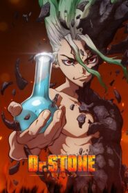 Dr. Stone: Science Future Sehen