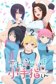 Sawaranaide Kotesashi-kun Anime auf Deutsch