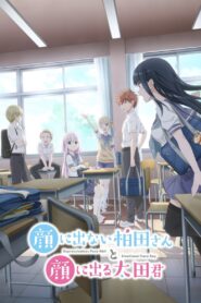 Kao ni Denai Kashiwada-san to Kao ni Deru Oota-kun Anime auf Deutsch